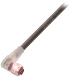 Balluff  BCC M324-0000-10-008-PX0434-100 