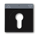 BJ Abdeckung            1755SL/PZ-81-101 