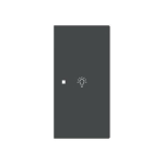 BJ Wippe 2-fach rechts       6231-22-45M 