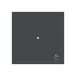 BJ Wippe 1-fach m.Symbol     6233-10-45M 