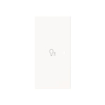 BJ Wippe 2-fach links        6234-21-44M 