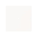 BJ Wippe 1-fach neutral      6230-10-44M 