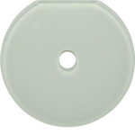 Berker Glasabdeckendplatte        109409 