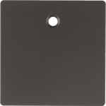 Berker Zentralstück             11466086 