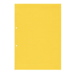 Weidmüller ESO 7 DIN A4 GE Klemmen- 