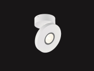 Helestra GOTO                 15/2013.07 