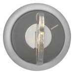 EATON M22-WRS-A1 Schlüsseltaste   229092 