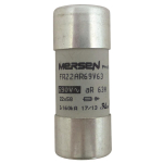 Mersen Sicherungseinsatz     FR22AR69V63 