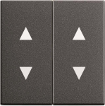 GIRA 115028 Wippe 2fach Pfeile System 55 