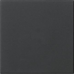 GIRA 5372005 Wippe 1fach unbedruckt 