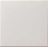 GIRA 091603 Wippe Tastschalter System 55 