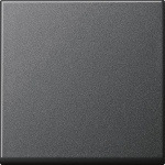 GIRA 091628 Wippe Tastschalter System 55 