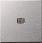 GIRA 029826 Wippe Kontrollfenster groß 