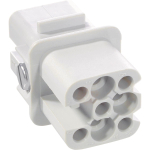 LAPP         H-D 8 BCM STECKDOSENEINSATZ 