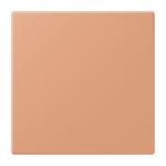 Jung Notrufsystem    NRS LC 0834 USV 233 