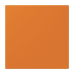 Jung Notrufsystem    NRS LC 0834 USV 224 