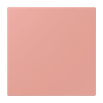 Jung Notrufsystem     NRS LC 0834 NT 246 