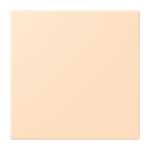 Jung Notrufsystem    NRS LC 0834 USV 228 