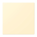 Jung Notrufsystem    NRS LC 0834 USV 201 