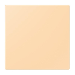 Jung Notrufsystem    NRS LC 0834 USV 223 