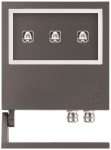 PII FOCUS+2 26W A55/W 4000K AN3   305172 