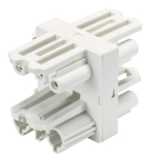 Wieland Verteiler    GST18I3V 3P1 B V WS 