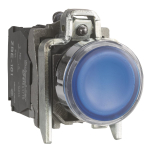 GS Leuchtdrucktaster blau      XB4BW36G5 
