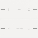 GIRA 576227 Wippenset 2fach indiv. 