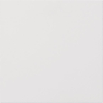 GIRA 5554902 Frontplatte Info-/ 