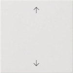 GIRA 538903 Wippe 1fach Pfeile 