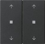 GIRA 5386005 Wippe 2fach Pfeile KF 