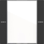 GIRA 5771005 Wippenset 1f BSF Tastsens.4 