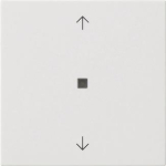 GIRA 538803 Wippe 1fach Pfeile KF 