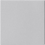 GIRA 810826 Blindabdeckung o.Tragring 