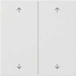 GIRA 5387112 Wippe 2fach Pfeile 