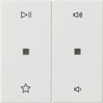 GIRA 538403 Wippe 2fach Audiosteuerung 