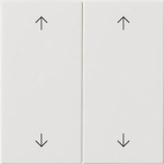 GIRA 538703 Wippe 2fach Pfeile 