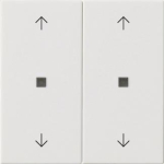 GIRA 538603 Wippe 2fach Pfeile KF 