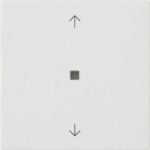 GIRA 538827 Wippe 1fach Pfeile KF 