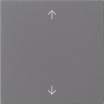 GIRA 538928 Wippe 1fach Pfeile 