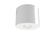 RP SI-Leuchte Decke            IADL529CC 