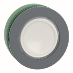 Schneider Leuchtdrucktaster     ZB5FW313 