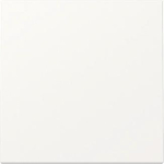 GIRA 329627 Wippe System 55 