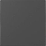 GIRA 3296005 Wippe System 55 