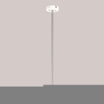 RZB Pendelbefestigung D 80 LP 983101.002 