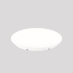 RZB Ersatzabdeckung,          983275.002 