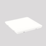 RZB Ersatzabdeckung,          983279.002 