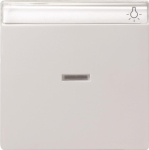 GIRA 067003 Wippe Kontrollfenster+BSF 