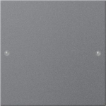 GIRA 218128 Wippenset 1fach System 55 
