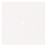 BJ Wippe 1-fach neutral      6230-10-44G 